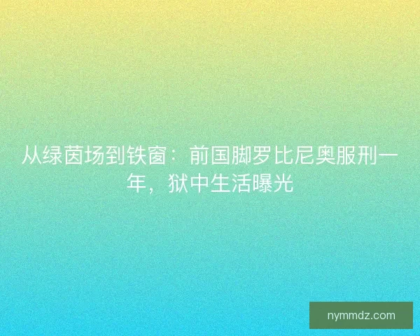 从绿茵场到铁窗：前国脚罗比尼奥服刑一年，狱中生活曝光