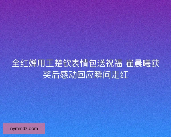 全红婵用王楚钦表情包送祝福 崔晨曦获奖后感动回应瞬间走红